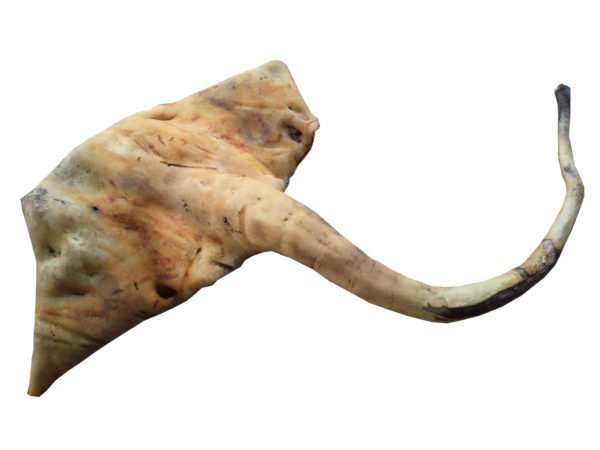 Cow-tail